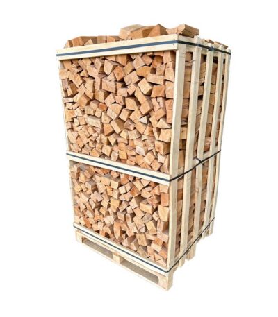 Hochwertiges Brennholz Buche 50 cm – 2 RM für effizientes Heizen